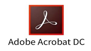 Adobe Acrobat Pro DC v2025.001.21288 (x64) 中文绿色便携版